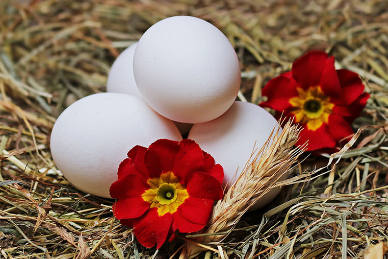 Genießen Sie die besten Feierlichkeiten zu Ostern mit einer Luxusvilla in Pollensa